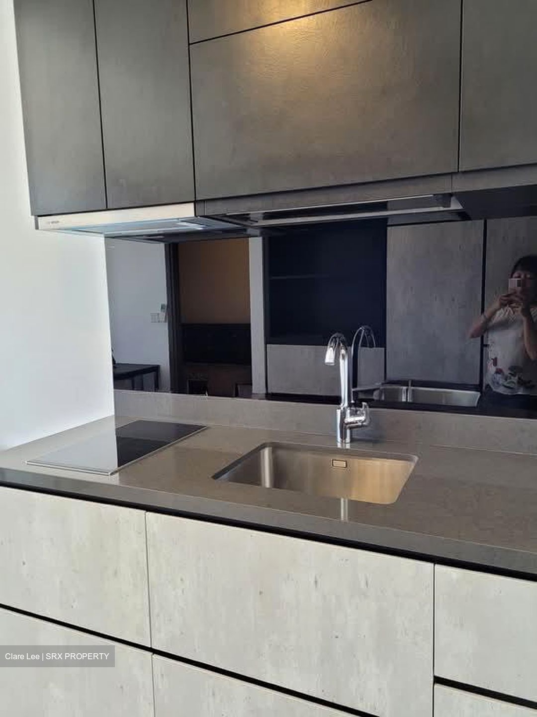 The Rise @ Oxley (D9), Condominium #560007881